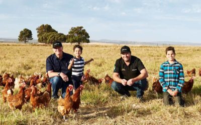 Laying the foundations for a new Australian egg industry