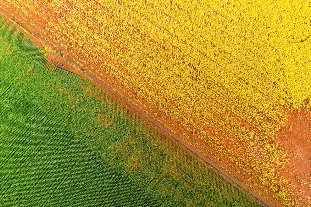 Aerial shot of farm using biostimulants