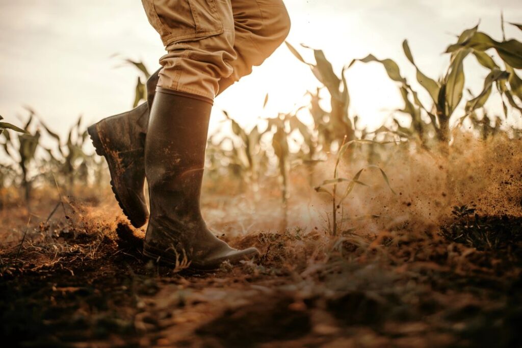 Farmer walking in boots during drought