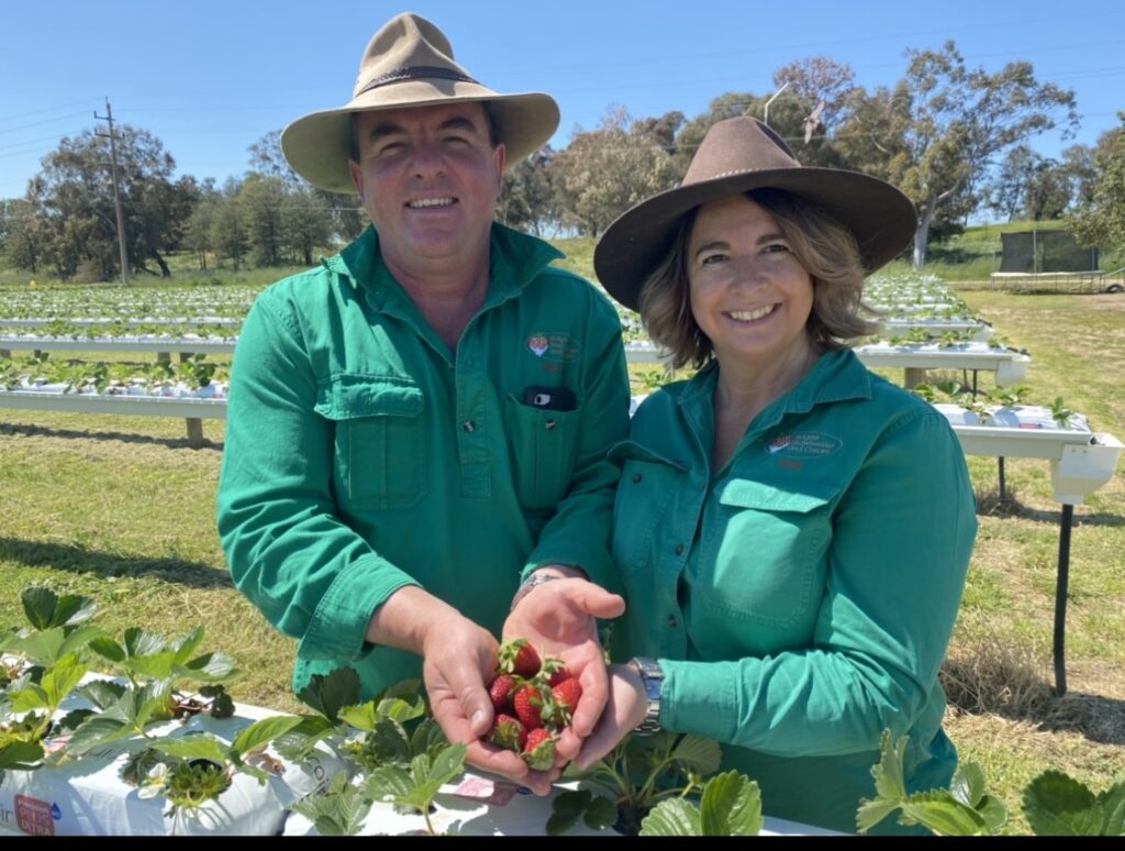 Bidgee Strawberries and Cream in Wagga, owners Michael and Kylie Cashen