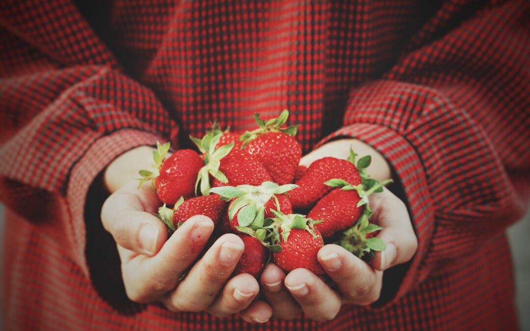 Woman holding Australian strawberries