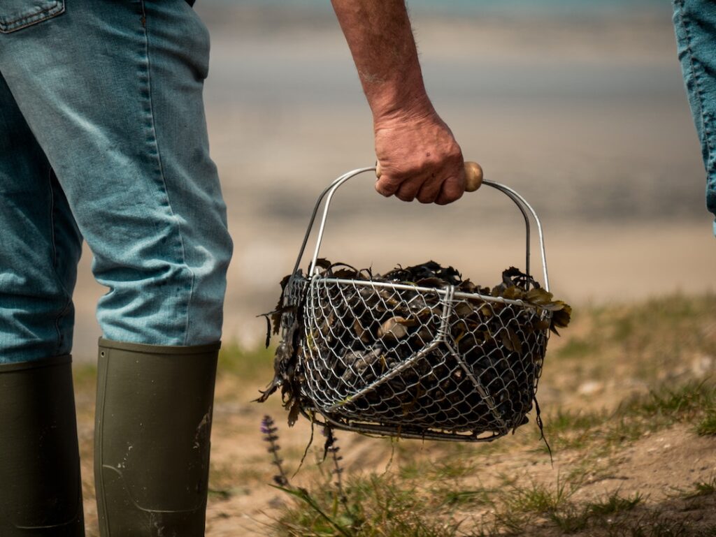 Man carrying Australian mussels