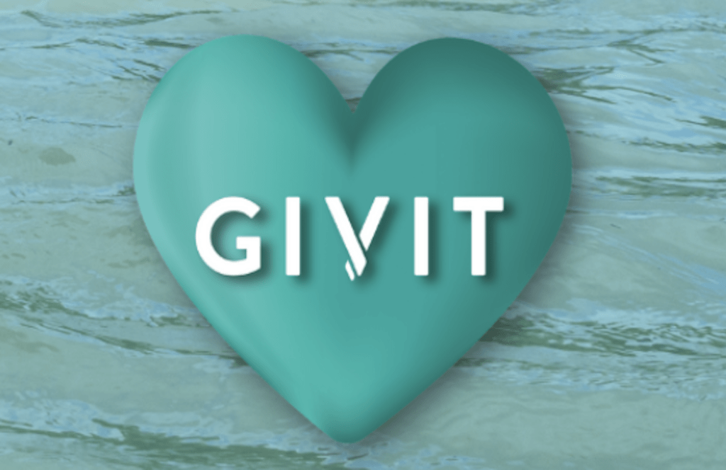 donate to the flood reliefs with GIVIT
