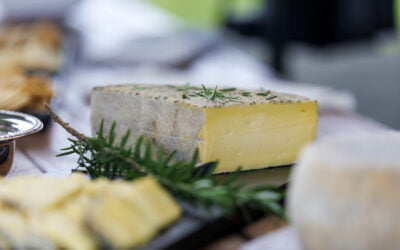 EWE+3: A groundbreaking new cheese that must be tried