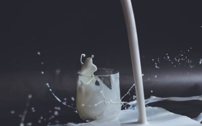 ‘Drinking’ milk is vital to maintaining the dairy industry
