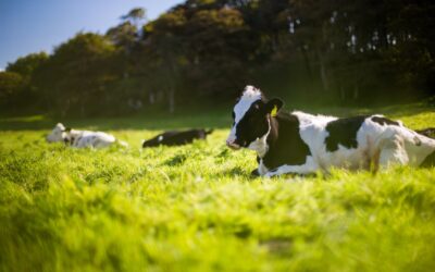 What to expect for the 2023 dairy season