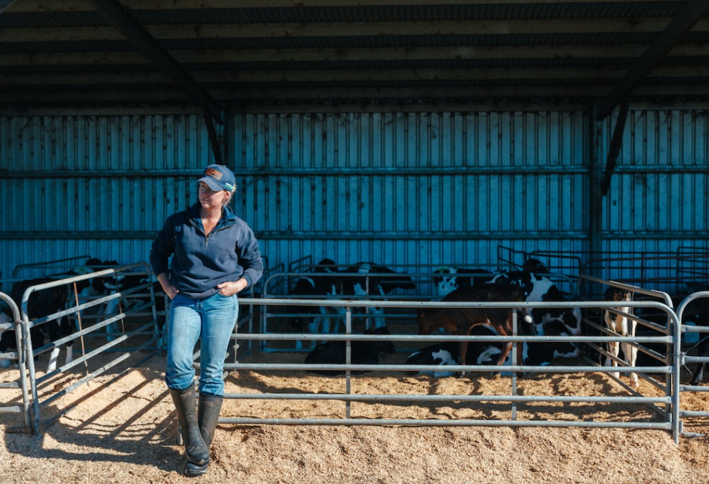 Brodie with the cows