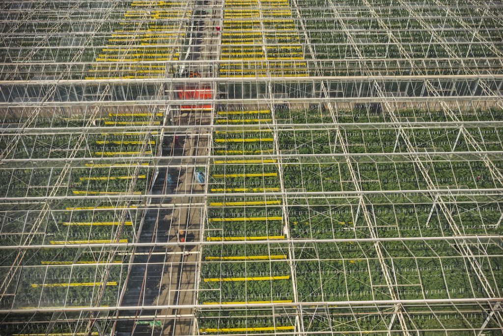 Agribusiness